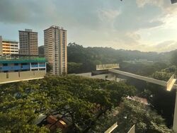 Telok Blangah Crescent (Bukit Merah),  #591430931